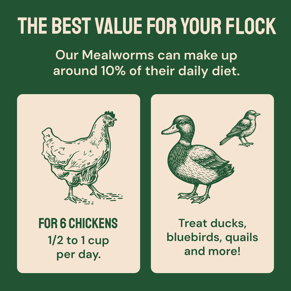 Great for foraging and enrichment in home or backyard aviaries.