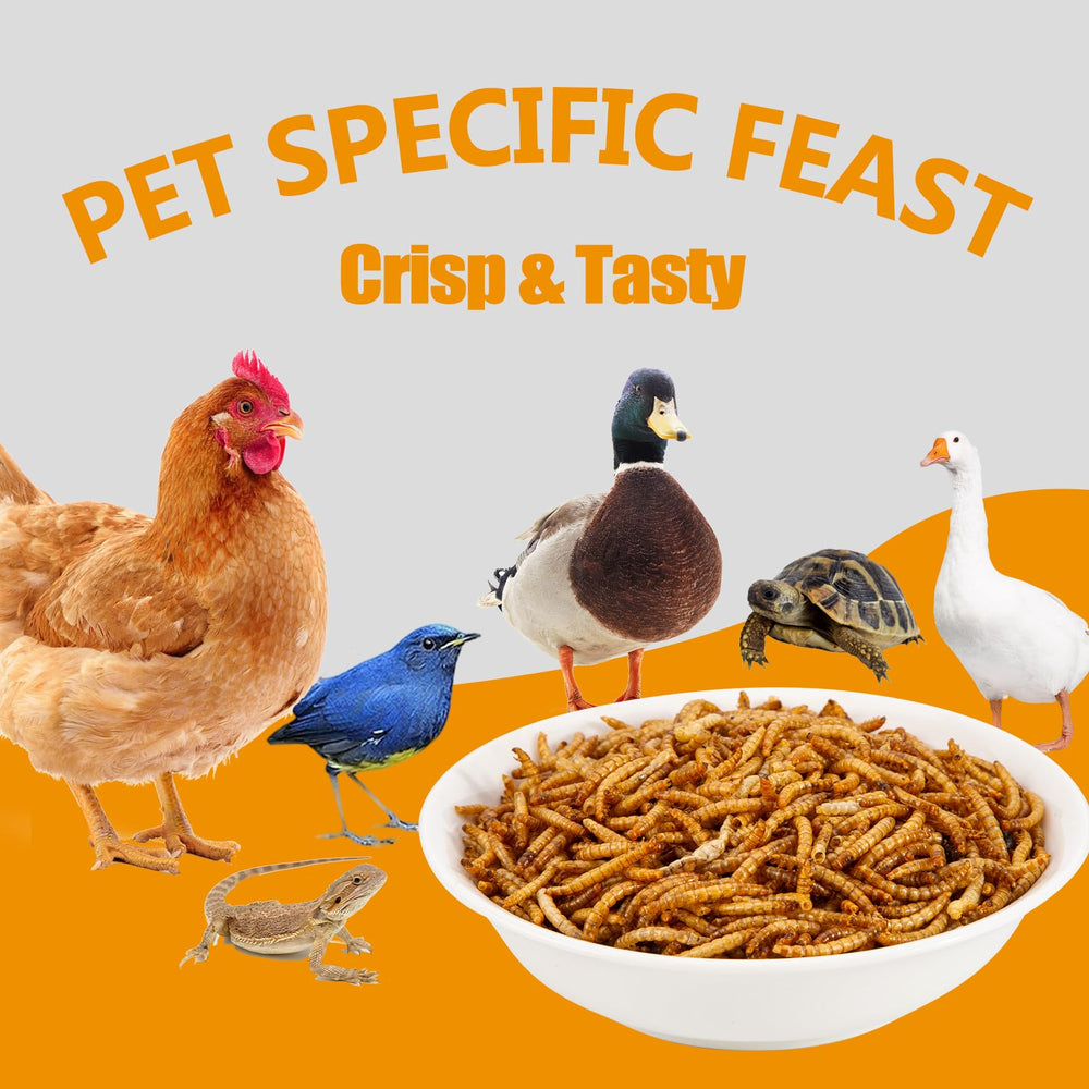 HATORTOP dried mealworms offer a crispy protein-rich treat for pets and livestock