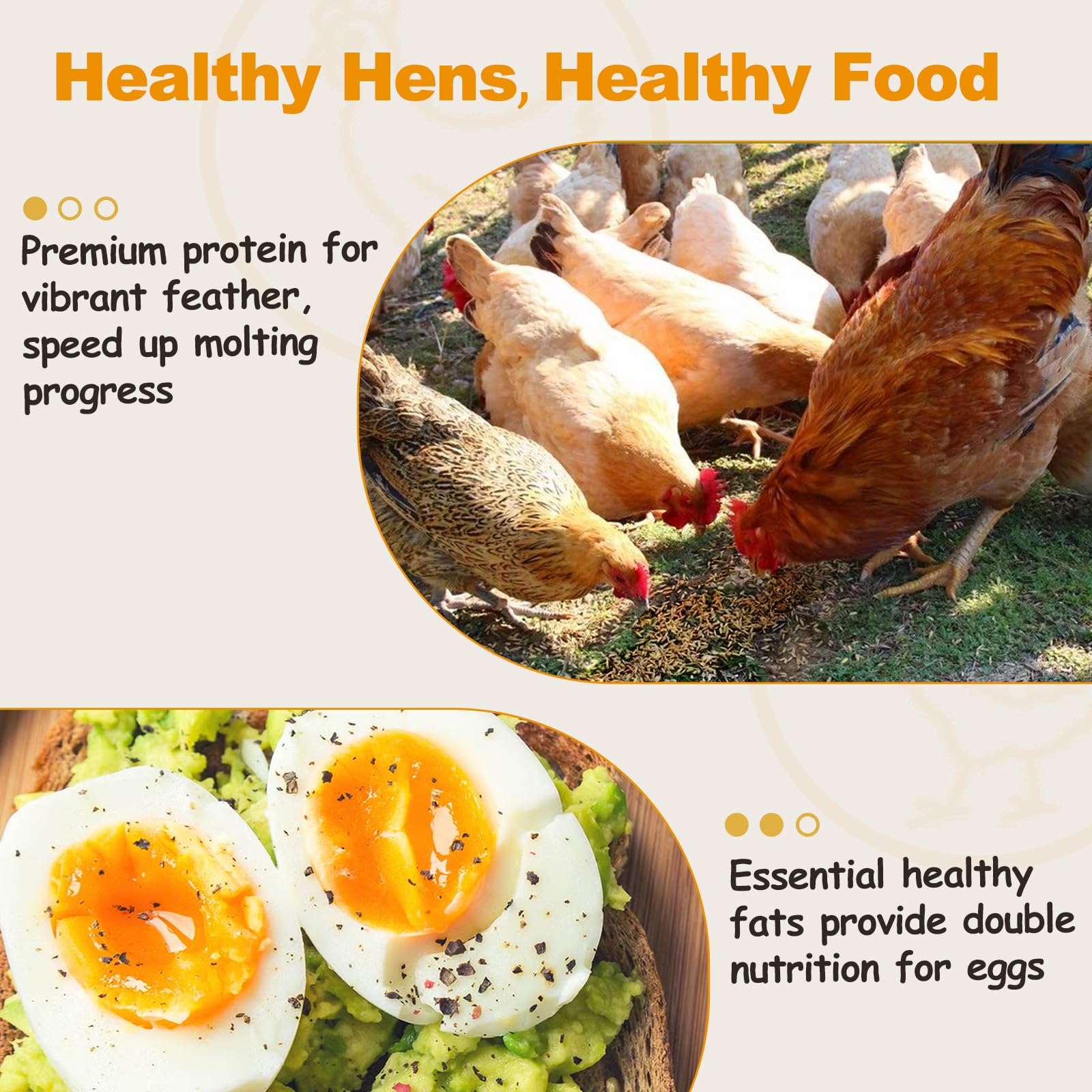HATORTOP dried mealworms reseal bag for easy storage and freshness