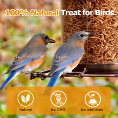 HATORTOP mealworms for bird feeder, natural energy snack for backyard birds