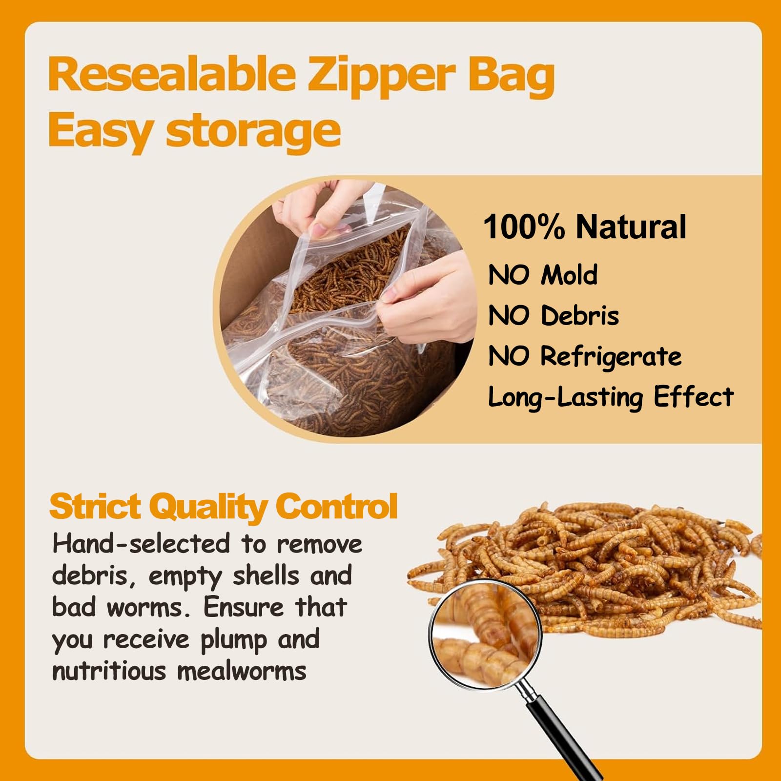 HATORTOP mealworms suited for reptiles as a crunchy diet addition