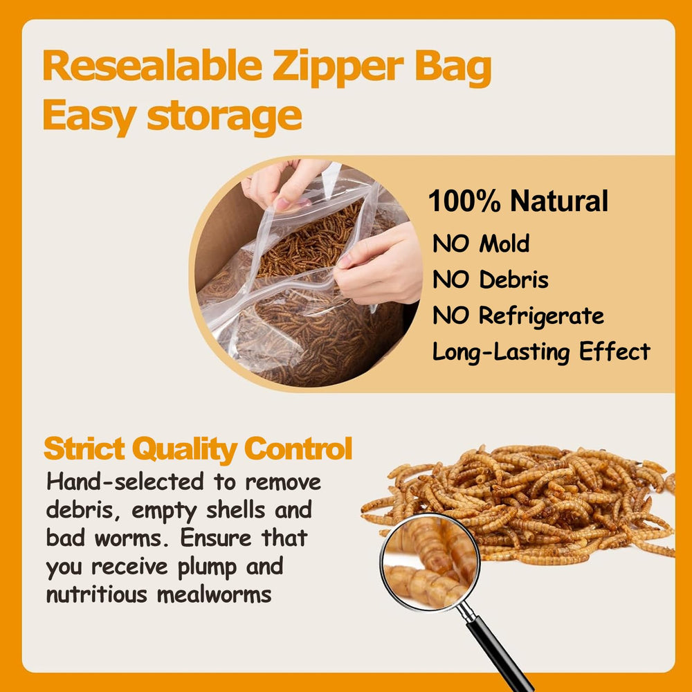 HATORTOP mealworms suited for reptiles as a crunchy diet addition