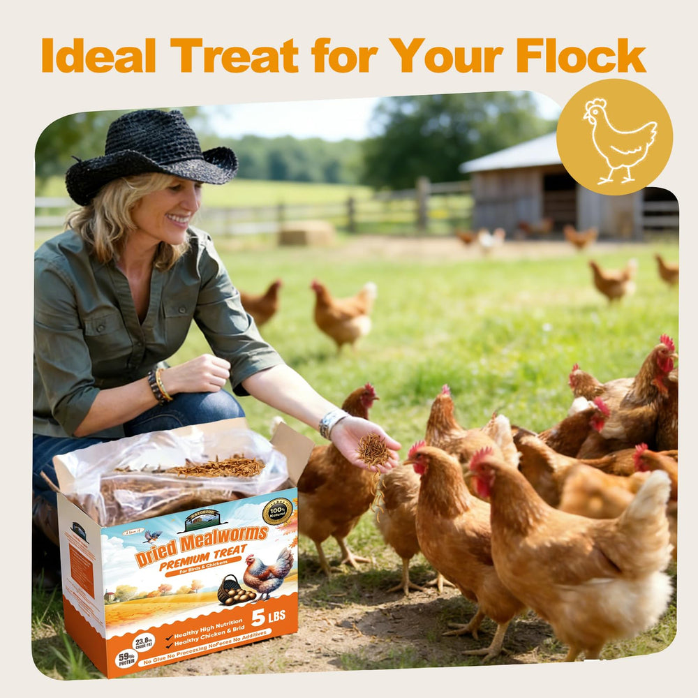HATORTOP mealworms support wild birds nutrition with protein and calcium