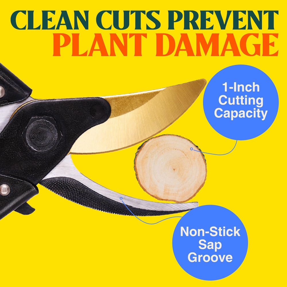 Cutting capacity up to 1 inch branch, clean trim