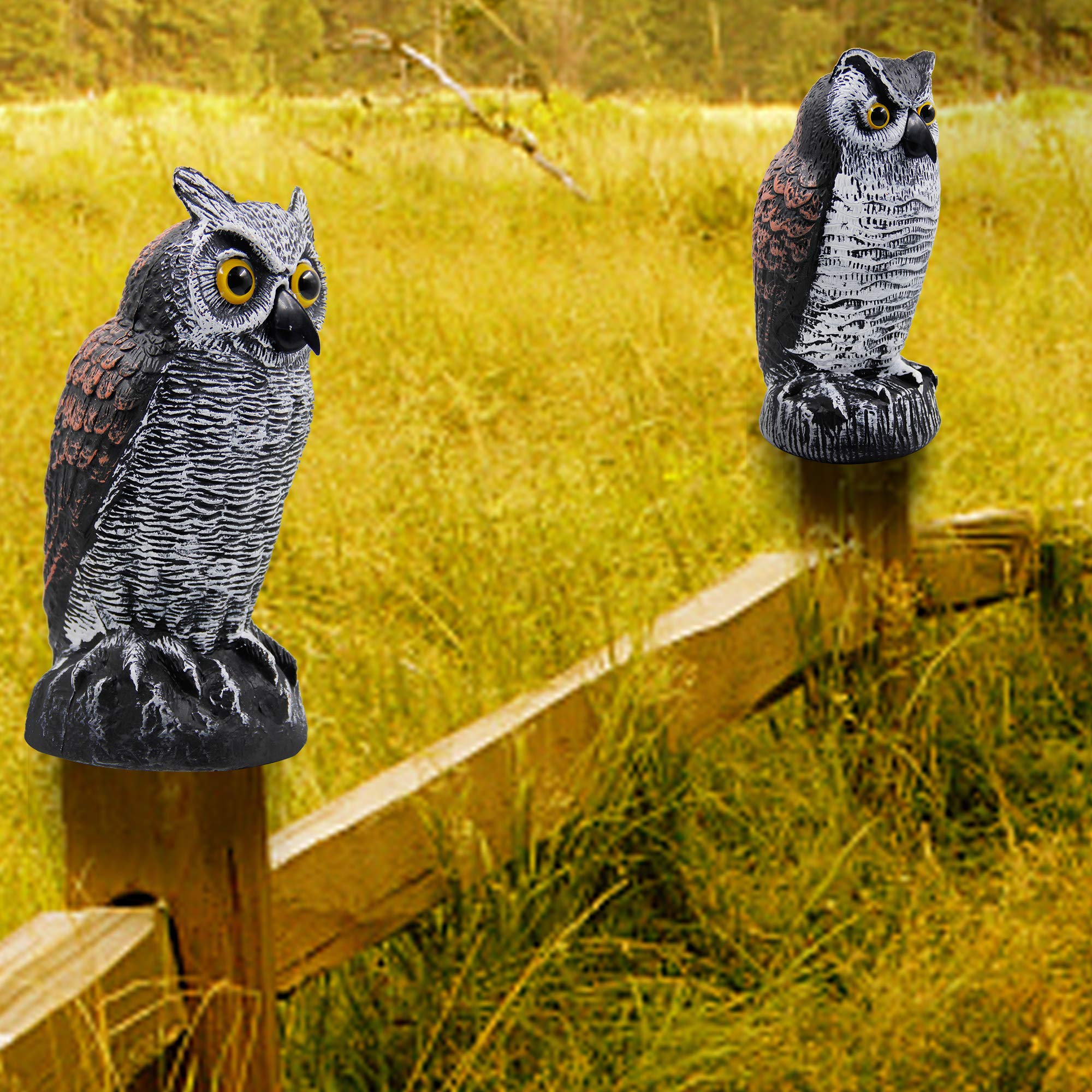 Hausse horned owl 2-pack weight base for stable outdoor placement