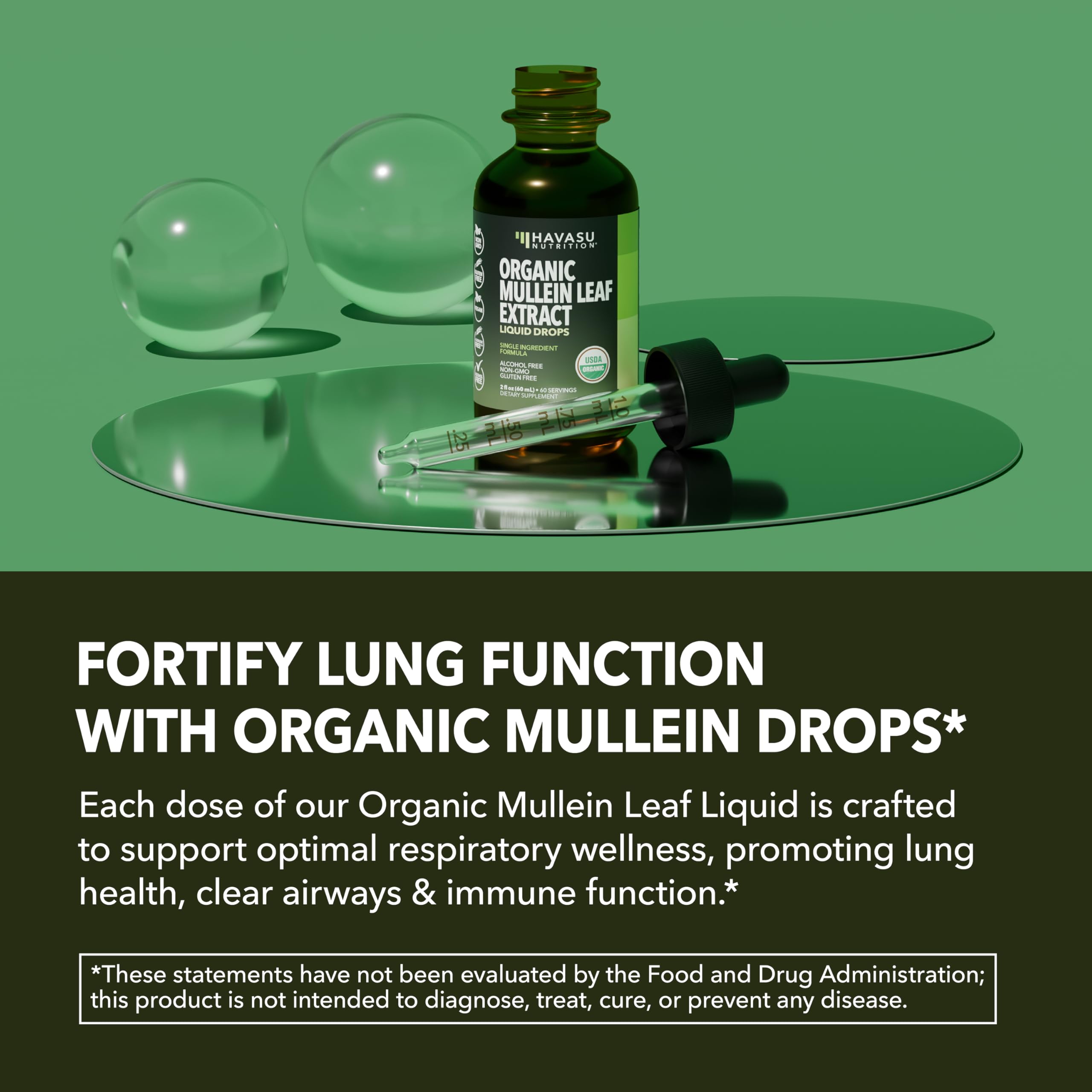Havasu Nutrition Mullein Drops clear liquid held over glass illustrates simple daily use.