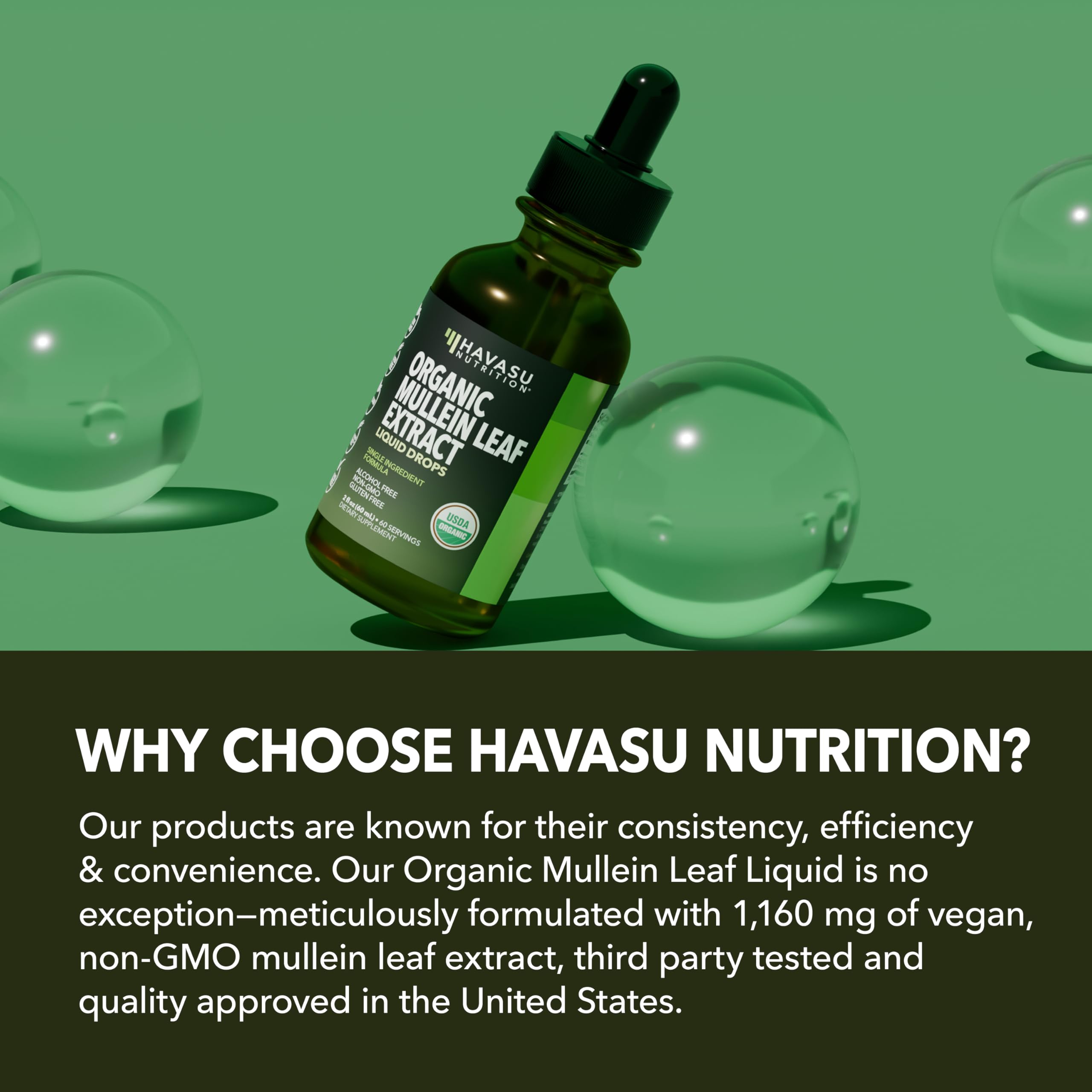 Havasu Nutrition Mullein Drops packaging stack highlighting a 2 month supply.