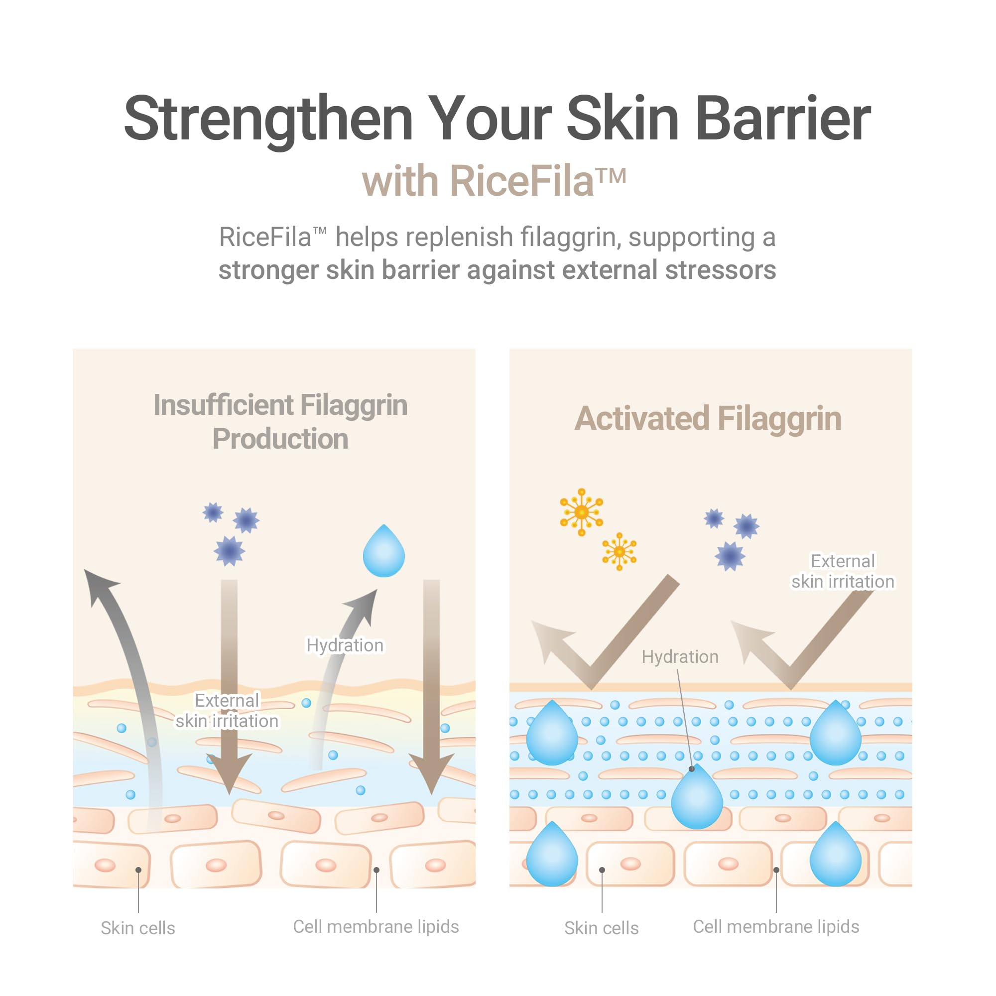 HAYEJIN RiceFila Milk Toner contains macadamia oil for smooth skin.