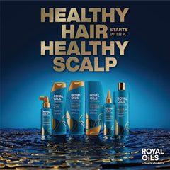 Head & Shoulders Royal Oils Conditioner bottle highlights coconut oil benefits for balanced moisture.