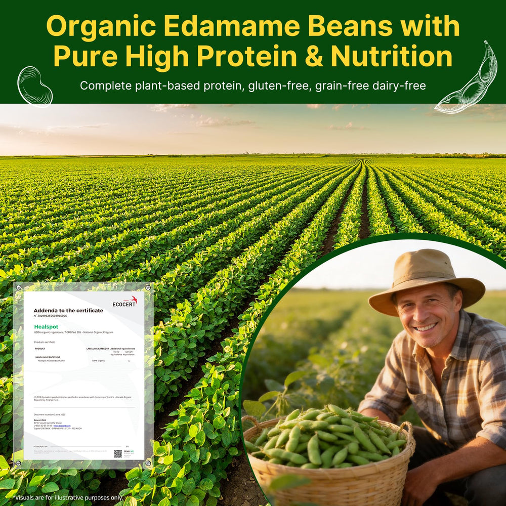 Healspot Organic Edamame close-up—dry-roasted, oil-free, flavorful