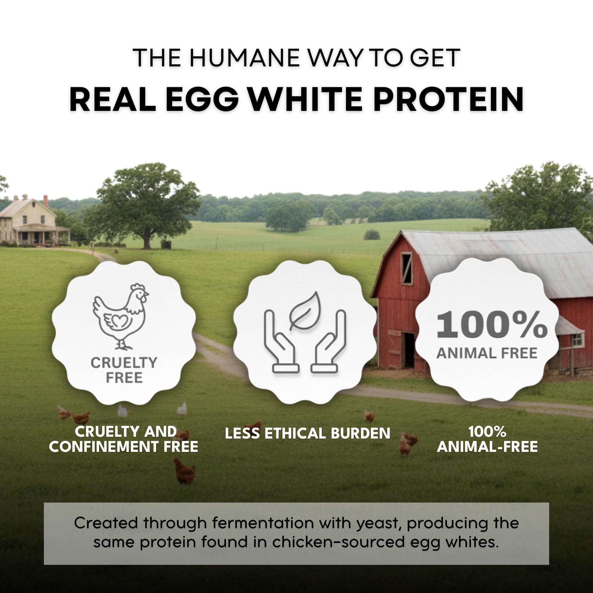 Healthier Comforts egg white powder bowl and whisk, ideal for meringues