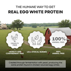 Healthier Comforts egg white powder bowl and whisk, ideal for meringues