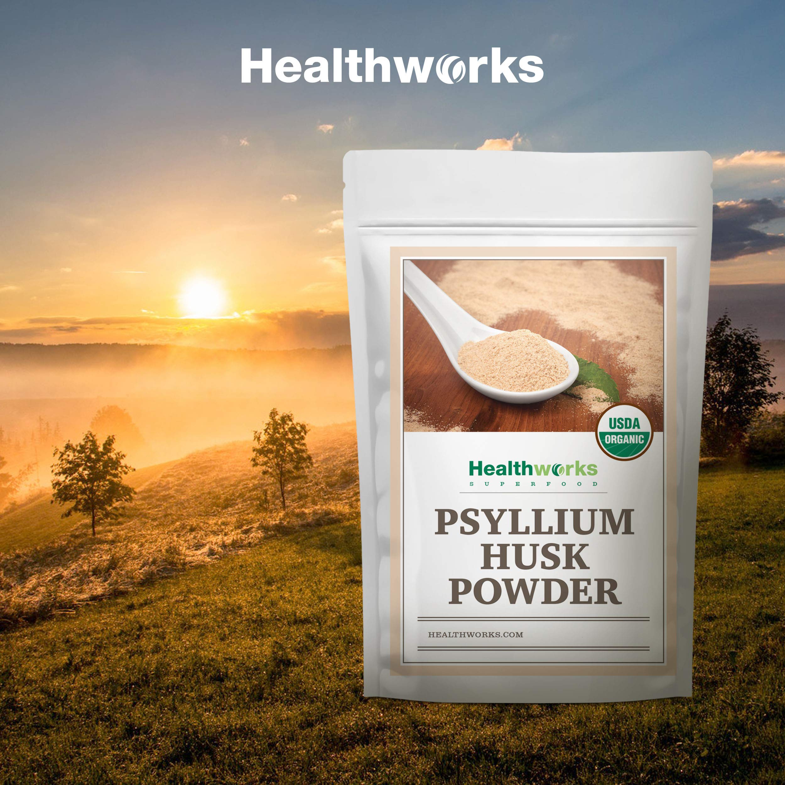 Healthworks Psyllium Husk Powder with oats and fruit for meal prep