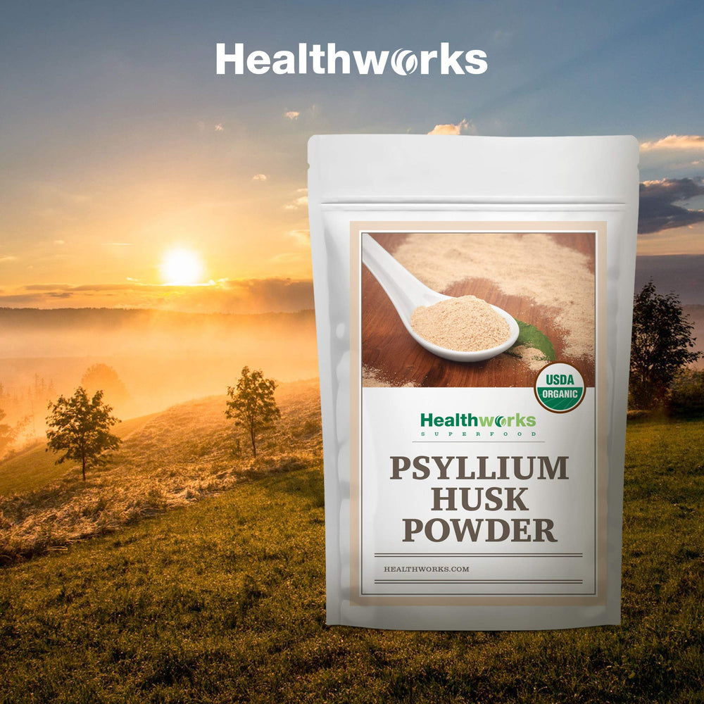 Healthworks Psyllium Husk Powder with oats and fruit for meal prep