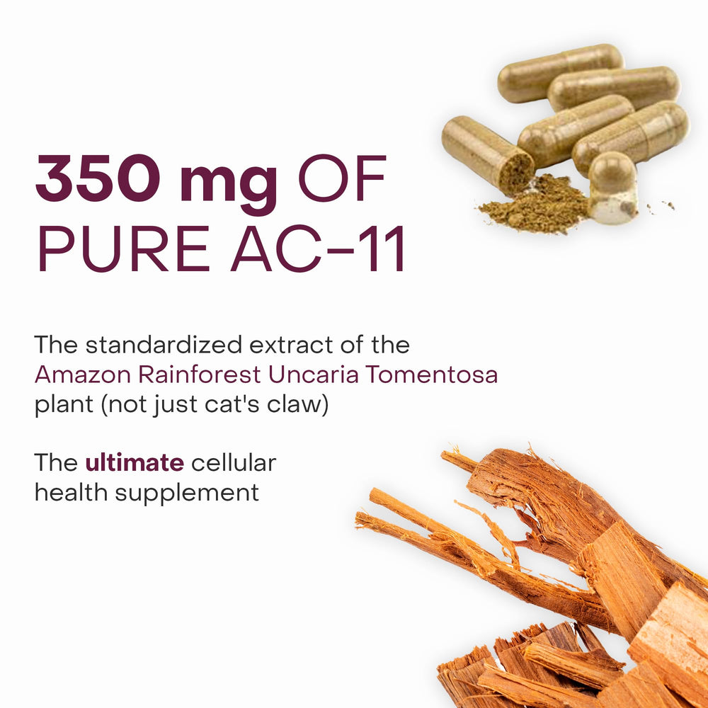 Healthycell AC-11 rainforest extract with DNA repair theme