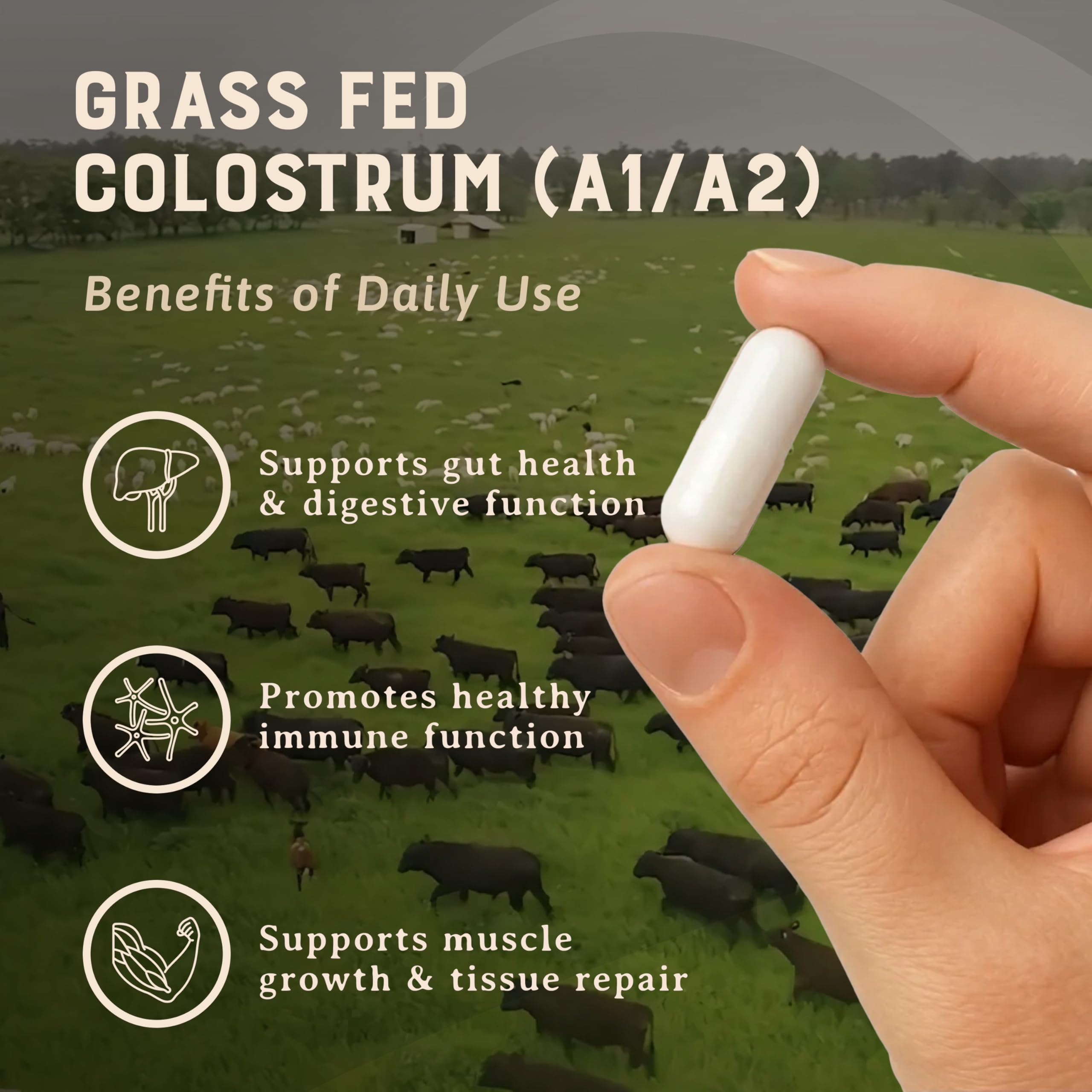 Heart & Soil grass-fed colostrum capsules pack showcases premium bovine source.