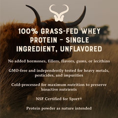 HEART & SOIL grass-fed whey illustrates premium sourcing.