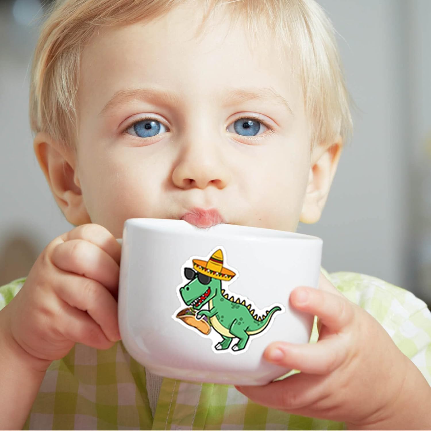 Hebraeos vibrant dino decals for windows and boxes