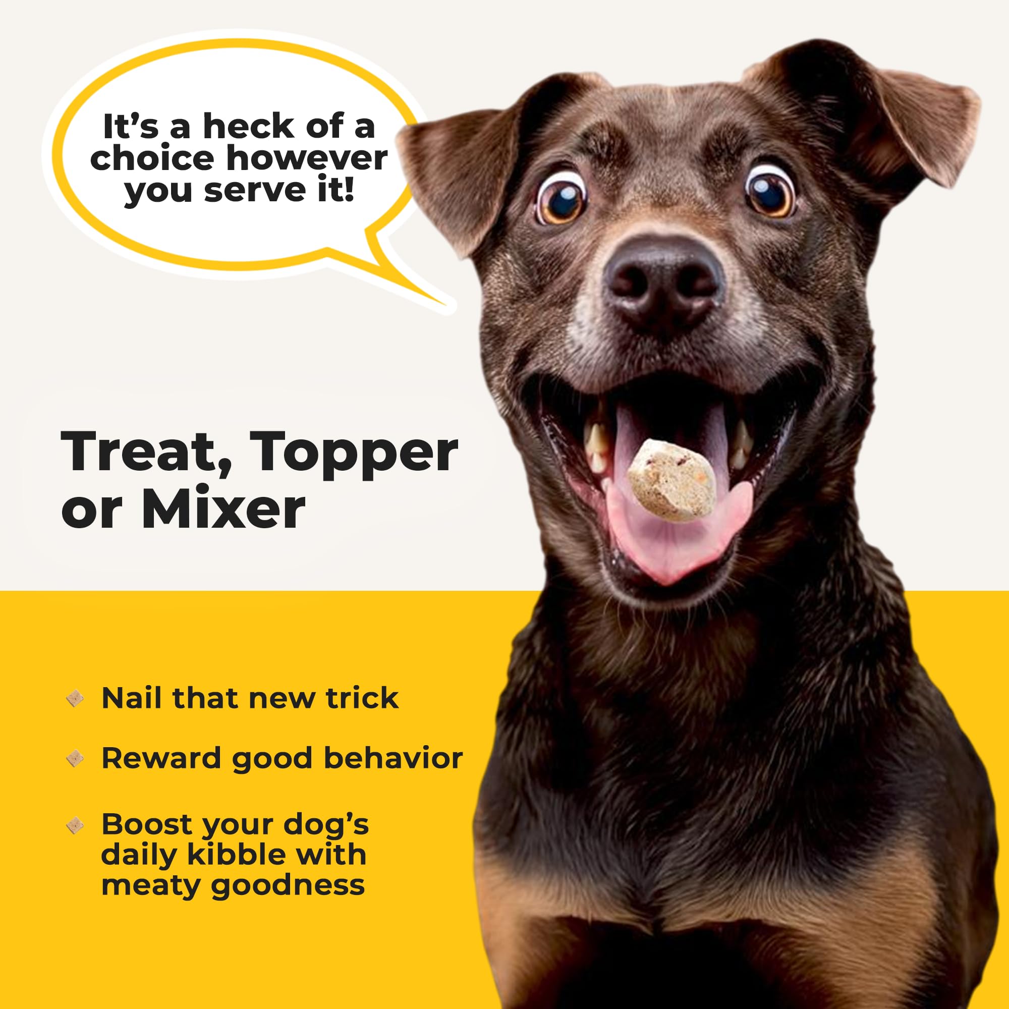Dog enjoys Heckova beef liver training treats during a session