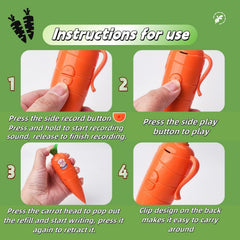 Hekisace carrot design toy that appeals to kids and teachers.
