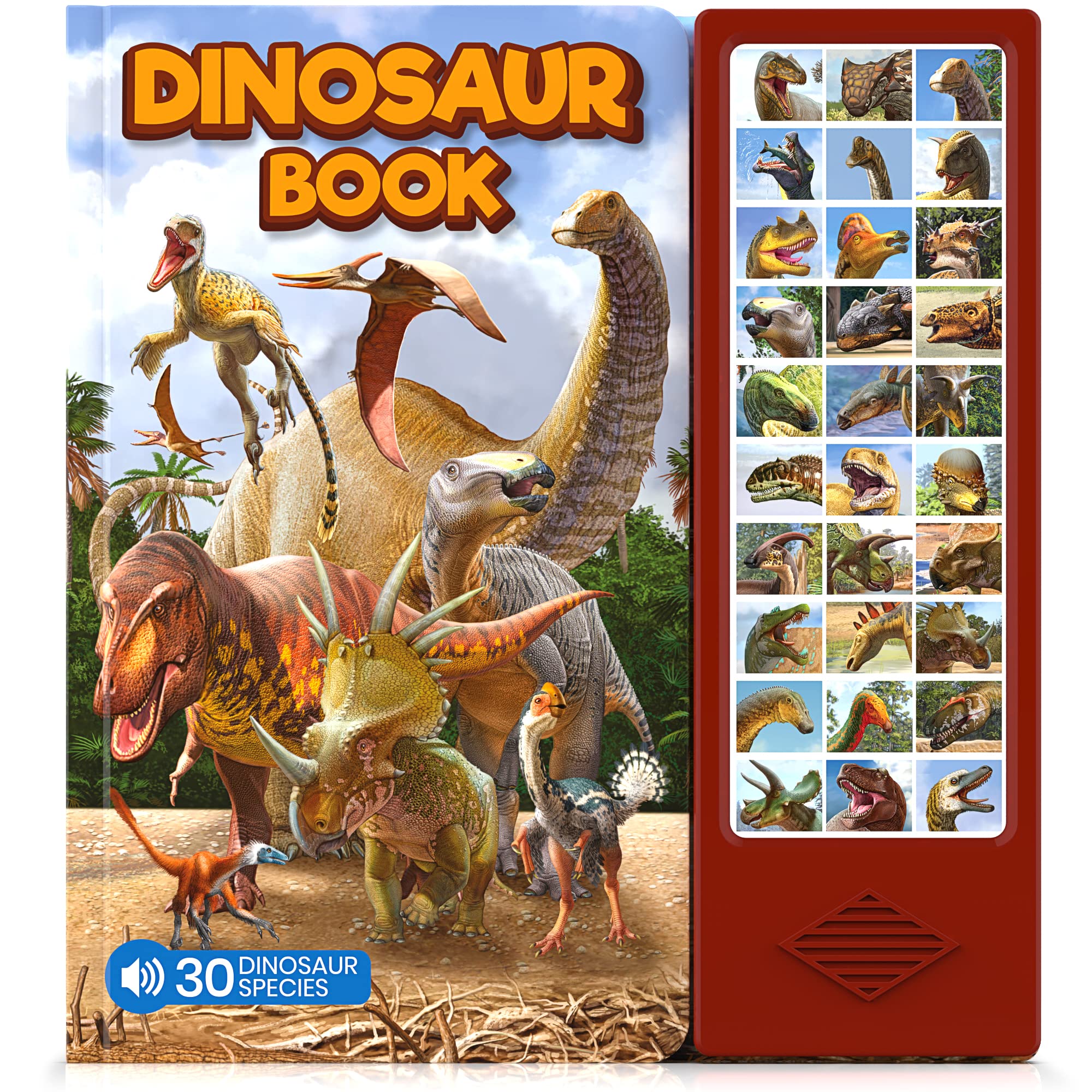 Hemalleon dinosaur book front cover with vivid art to engage young learners.