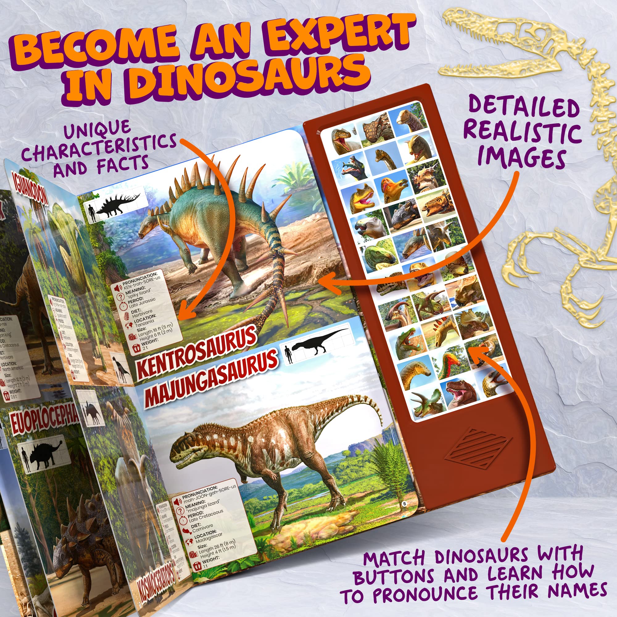 Hemalleon dinosaur book sound buttons deliver realistic roars for immersive play.