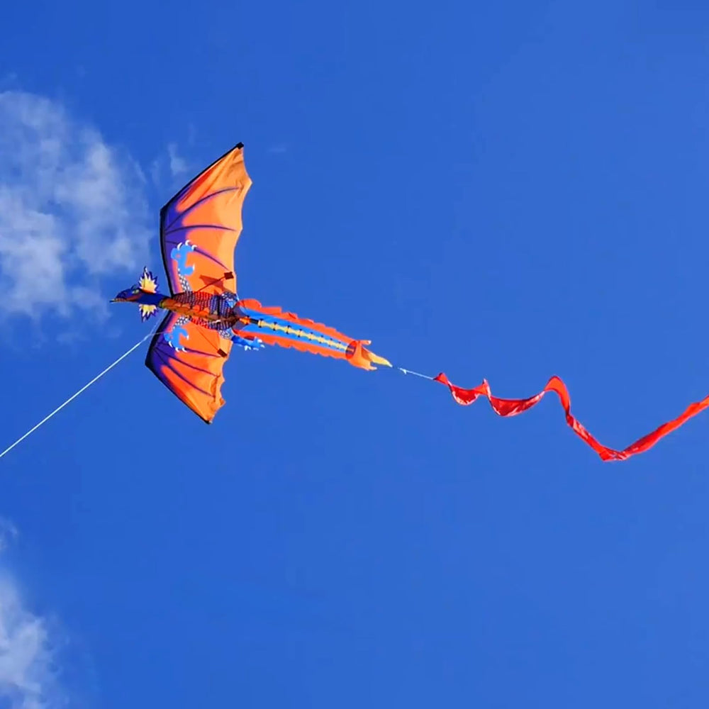 HENGDA KITE easy assembly and smooth flight for all ages.