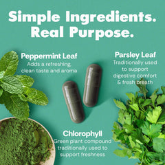 Her Fantasy Box Body Magic capsules pack, convenient vegan capsules