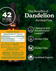 Herb Pharm Dandelion liquid extract dropper ready for precise dosing