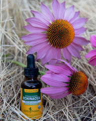 Herb Pharm Echinacea root display shows dried roots beside the bottle.