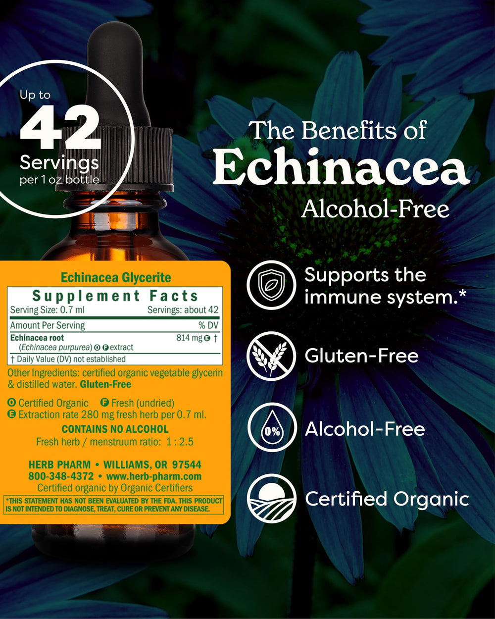Herb Pharm Echinacea label close-up highlights organic non-GMO formulation.