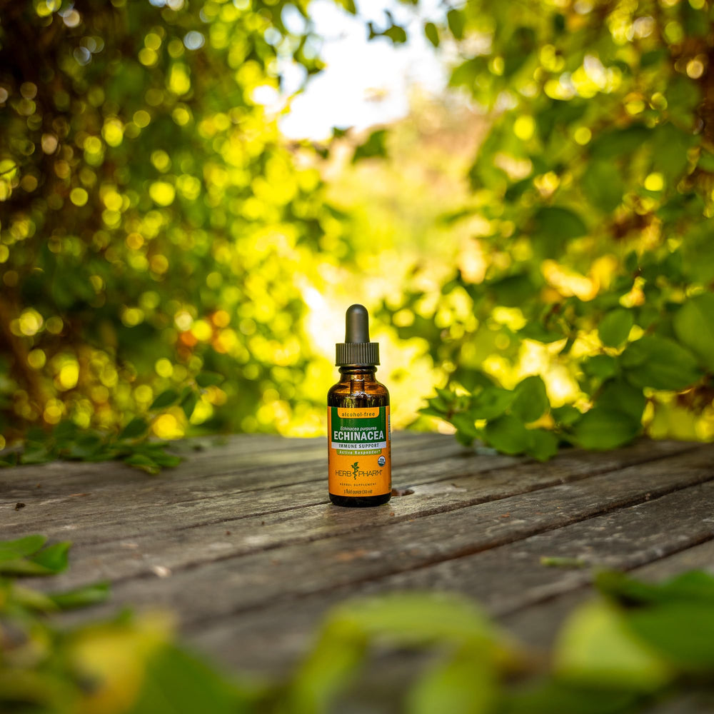 Herb Pharm Echinacea dropper in action shows a measured serving.