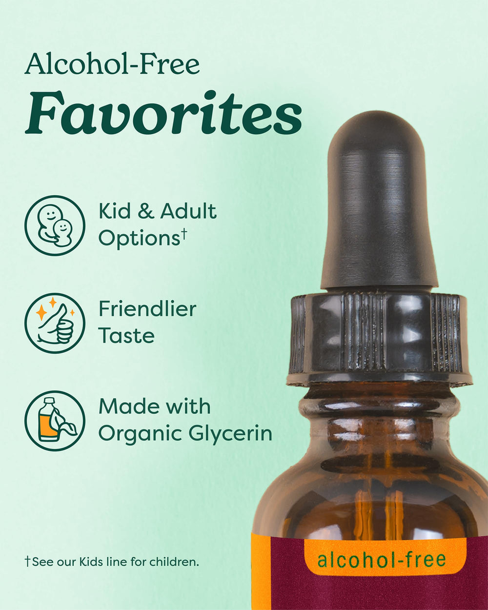 Herb Pharm Skullcap dropper for precise herbal dosing
