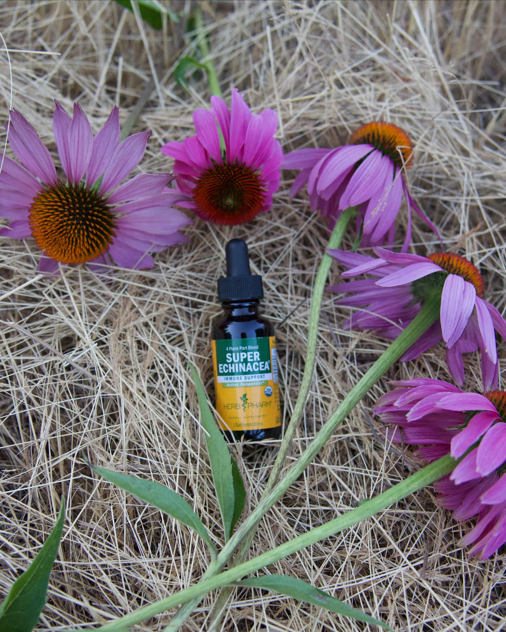 Herb Pharm HPTLC fingerprinting confirms identity.