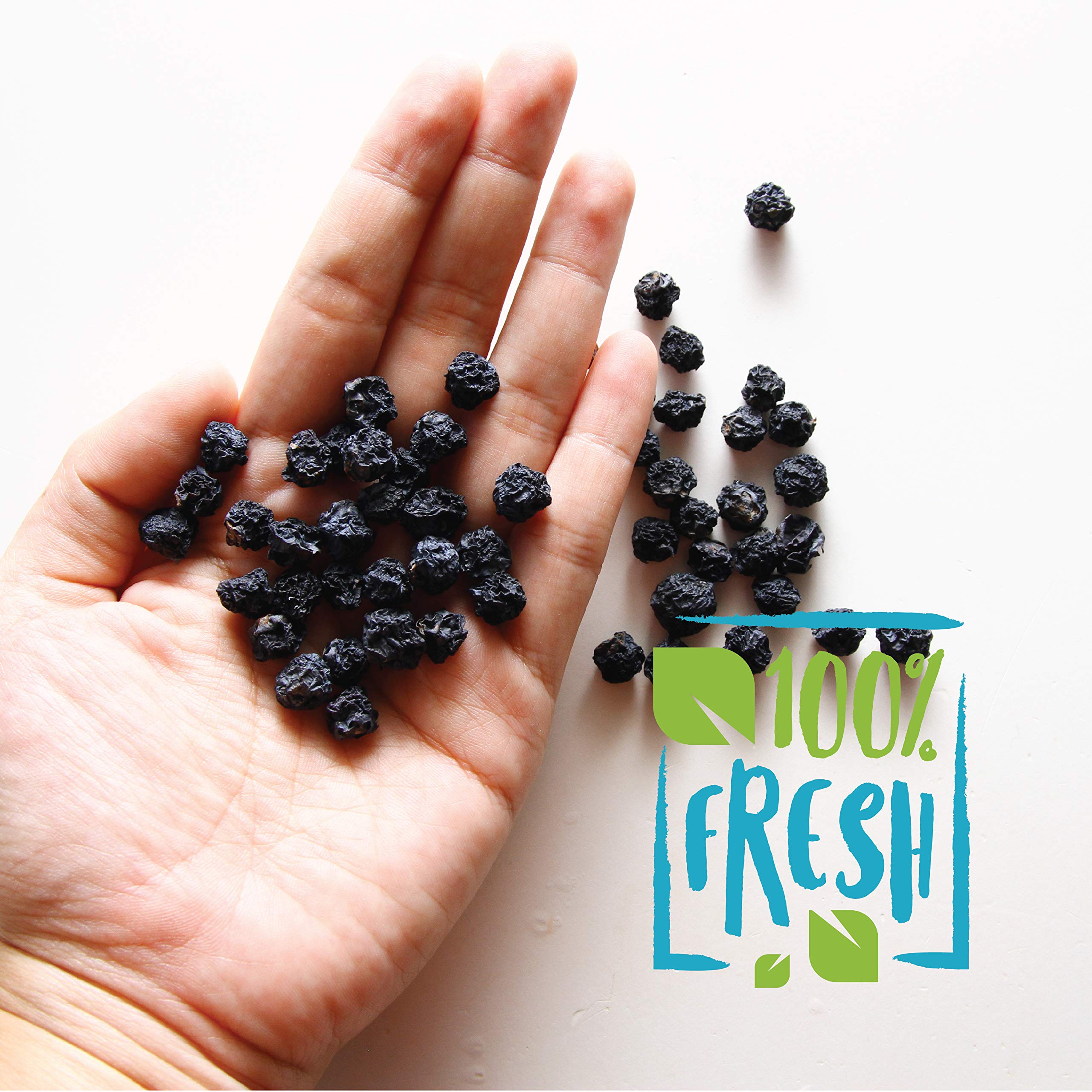 Herbaila bulk 1lb pack of dried blueberries for easy storage.