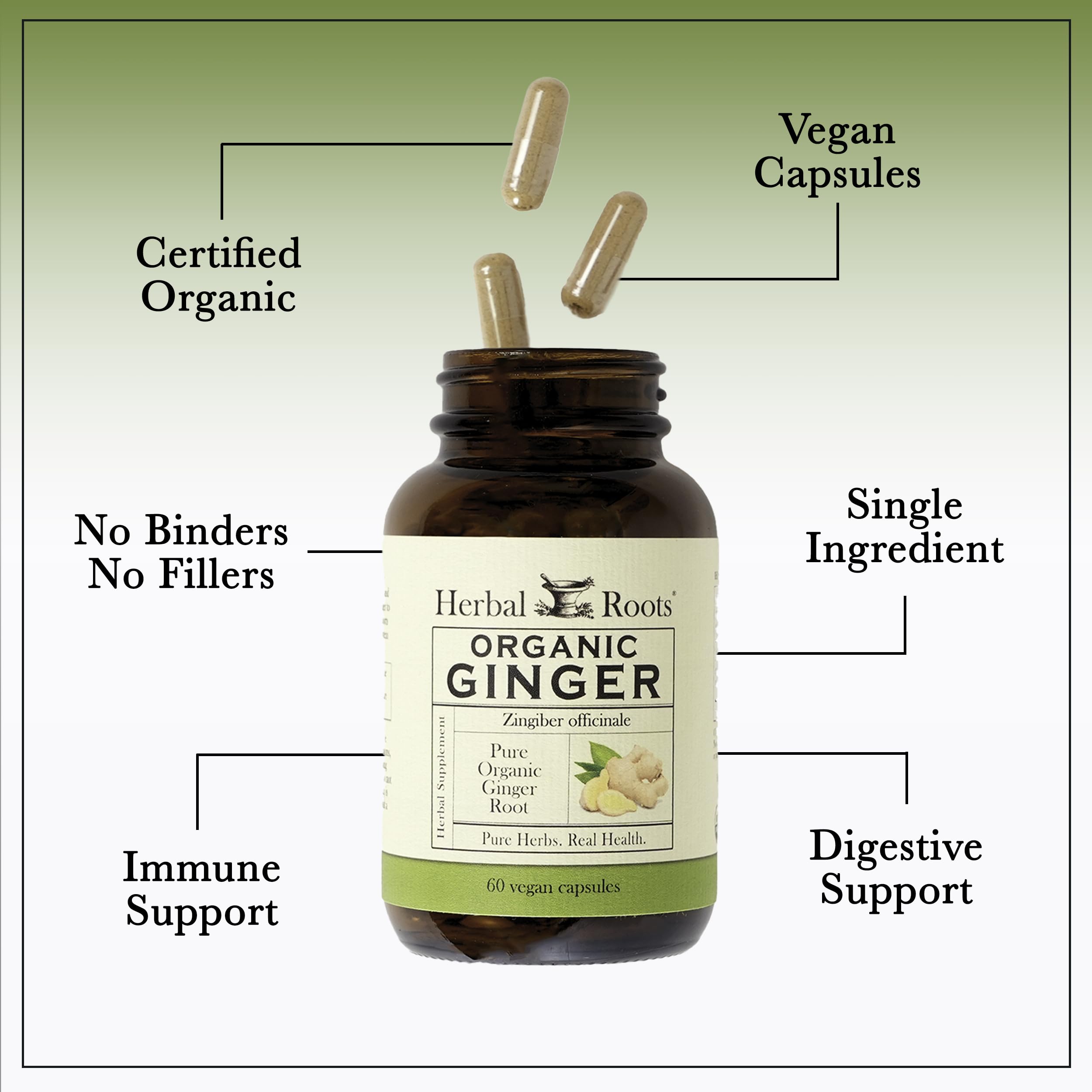 Herbal Roots Ginger Supplement label closeup showing organic certification and clean ingredients.