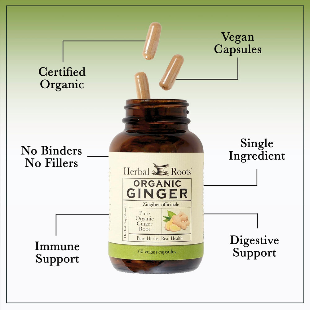 Herbal Roots Ginger Supplement label closeup showing organic certification and clean ingredients.
