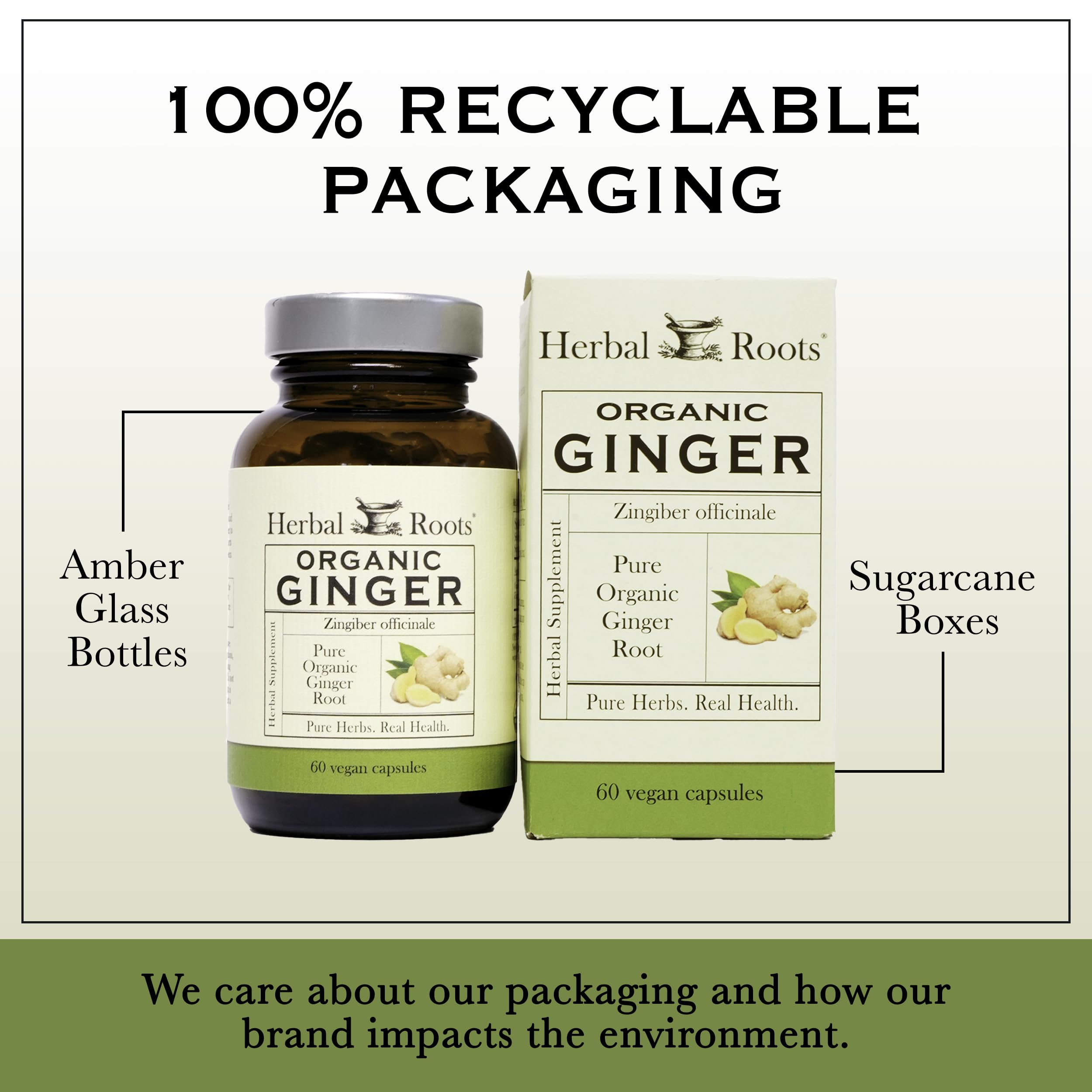 Herbal Roots Ginger Supplement organic ingredients visual indicating quality and trust.