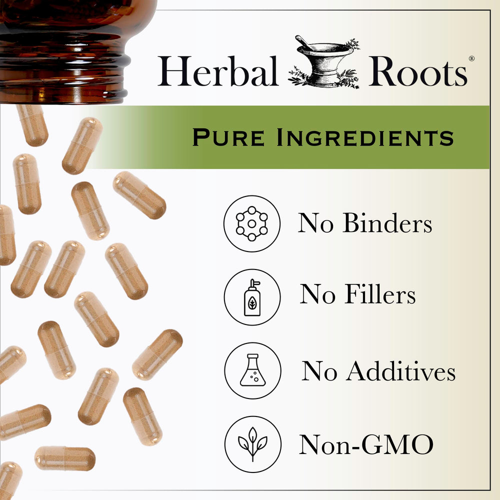 Herbal Roots Ginger Supplement packaging box signaling family-owned brand and easy storage.