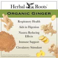 Herbal Roots Ginger Supplement powder dispense shot highlighting 1200 mg ginger per serving.