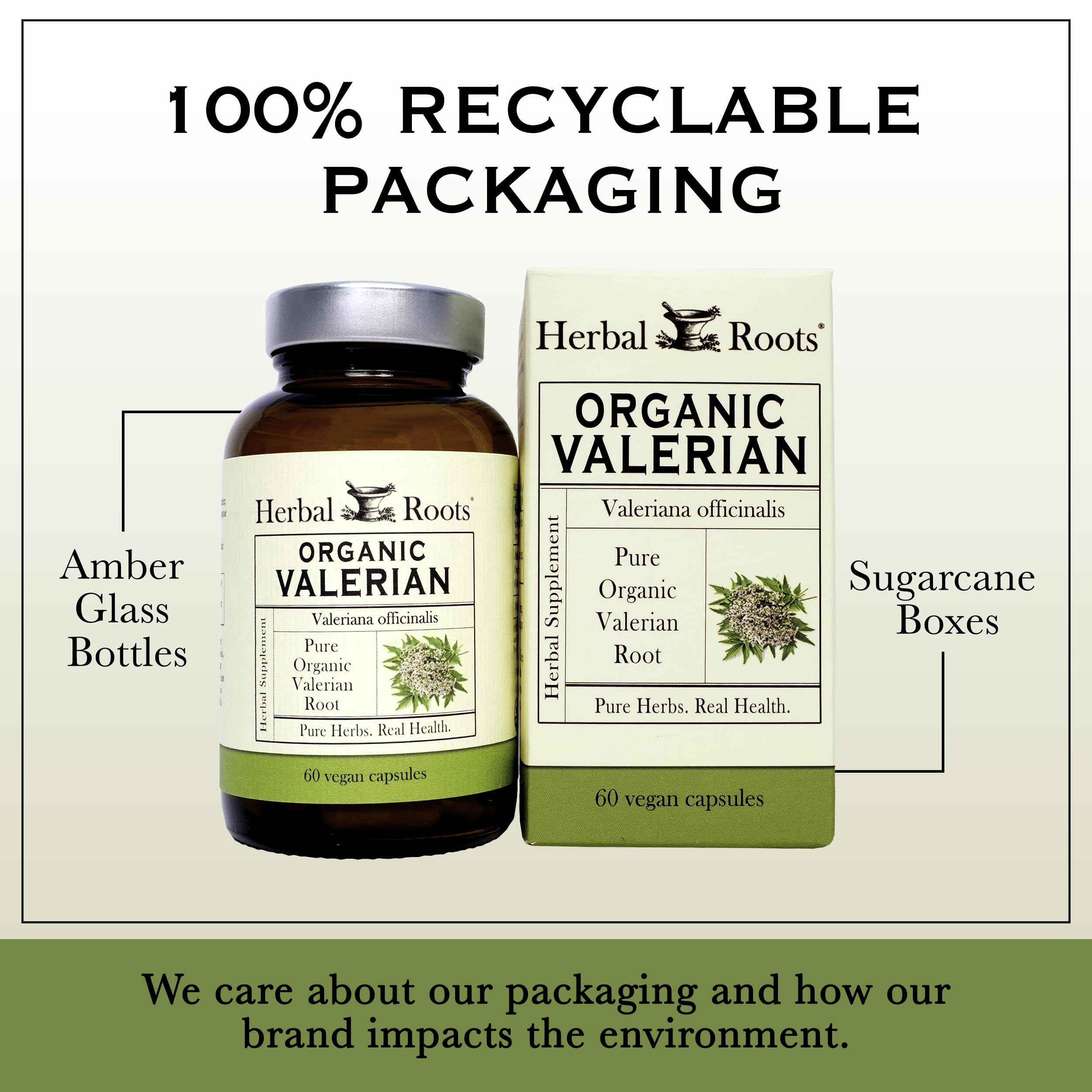 Herbal Roots Valerian Root Capsules held in hand for easy daily use