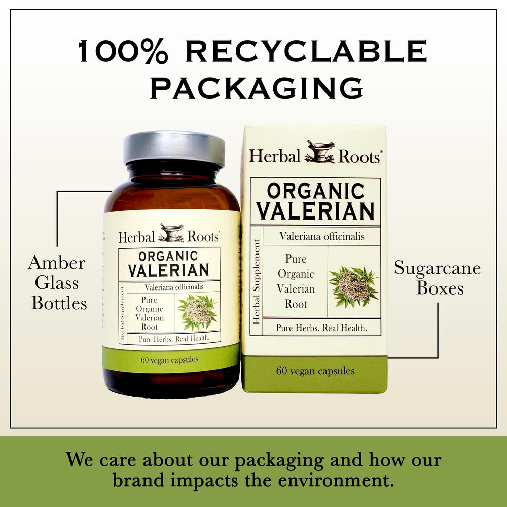 Herbal Roots Valerian Root Capsules held in hand for easy daily use
