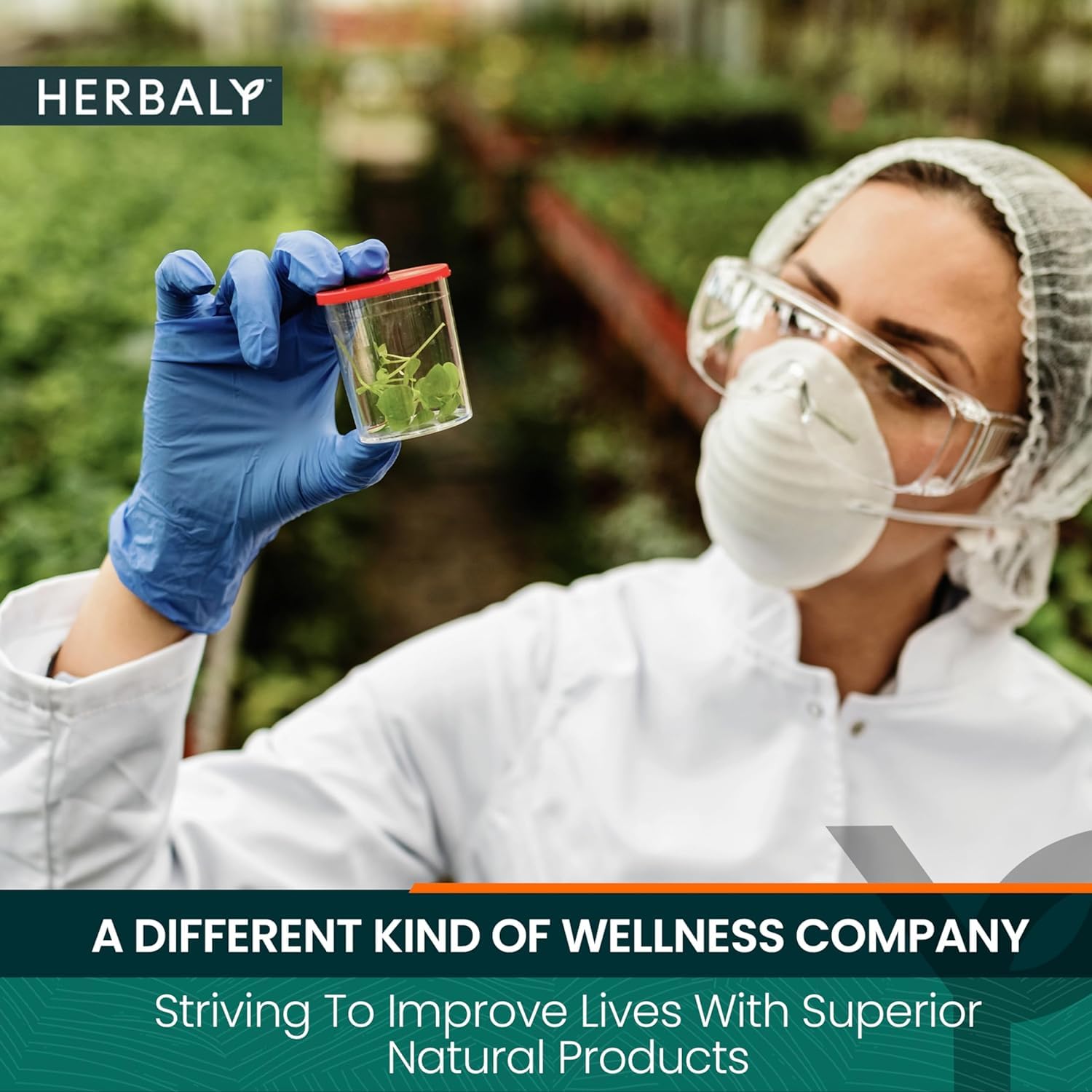 Herbaly Glucose Functional Tea labels and sachets in a serene kitchen.