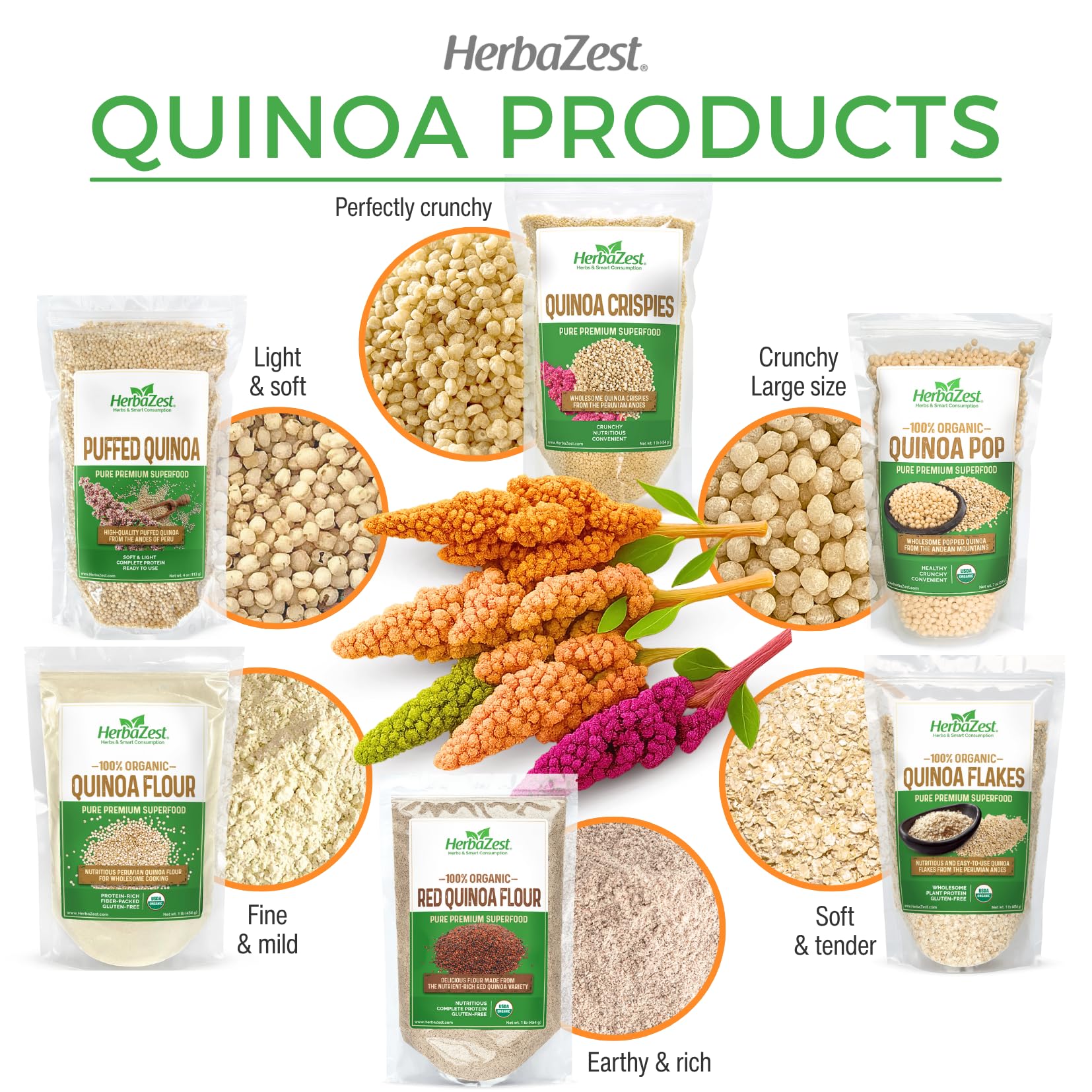 HerbaZest Quinoa Pop Organic packaging close-up, non-GMO and farmer-sourced from Peru.