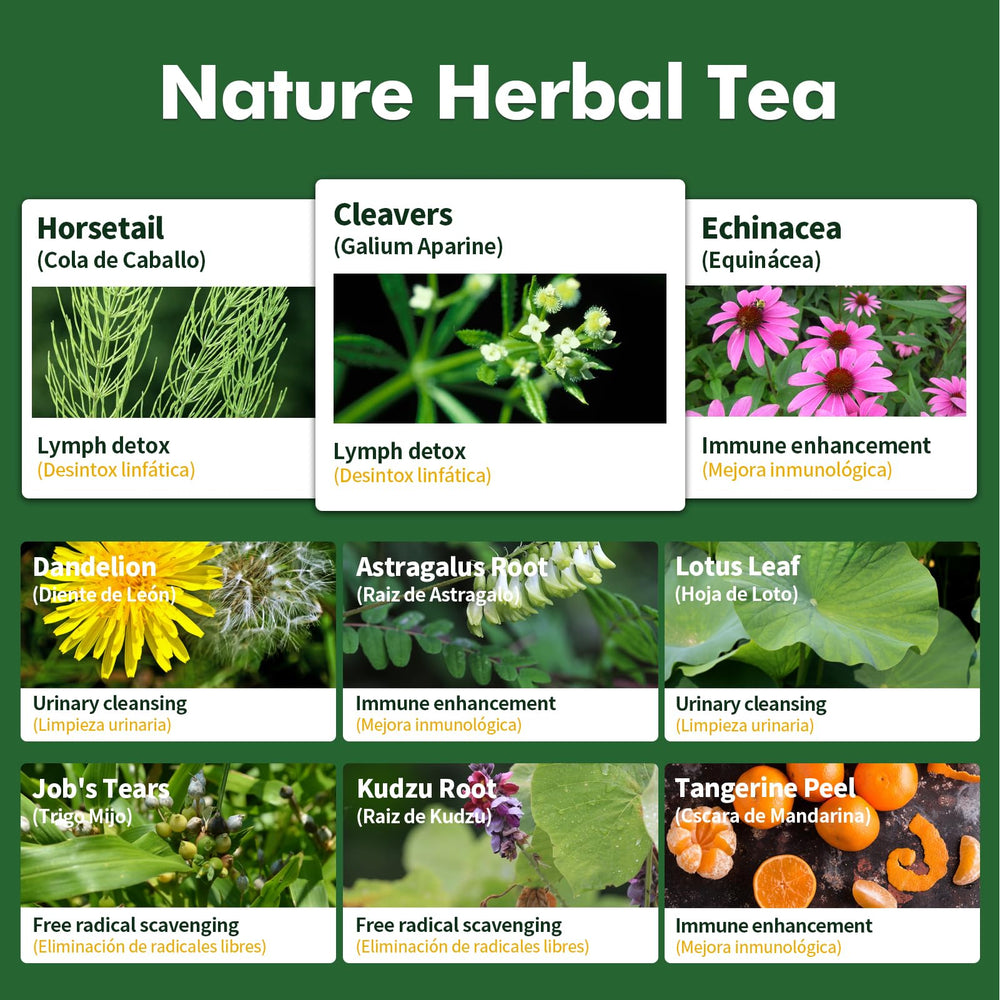 Herbmood herbal tea steeping beside a cup on the counter