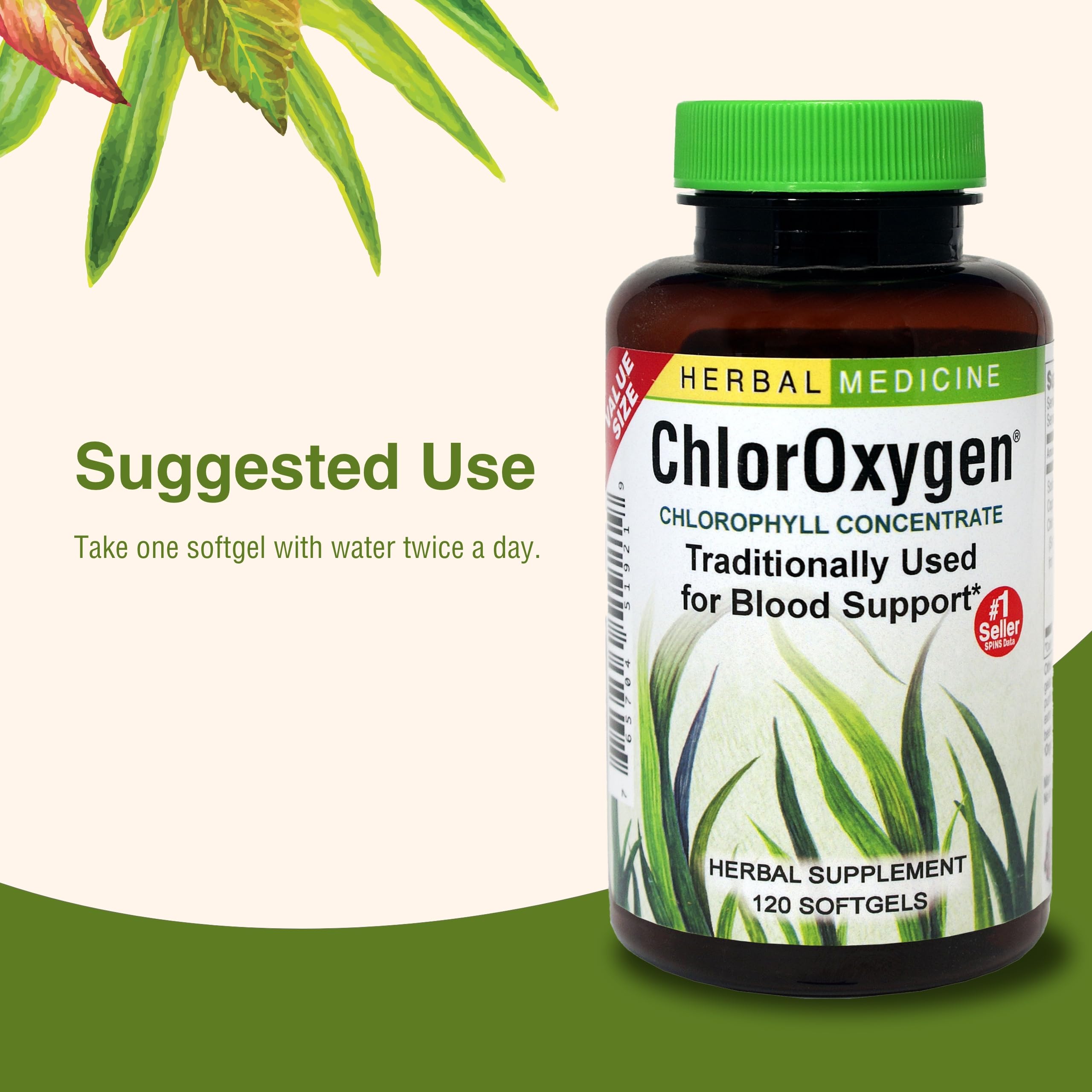 Herbs Etc. ChlorOxygen bottle on table with natural light suggesting daily wellness.