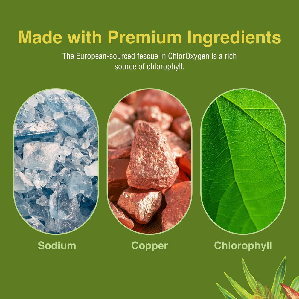 Herbs Etc. ChlorOxygen dosing in water demonstrates simple daily intake.