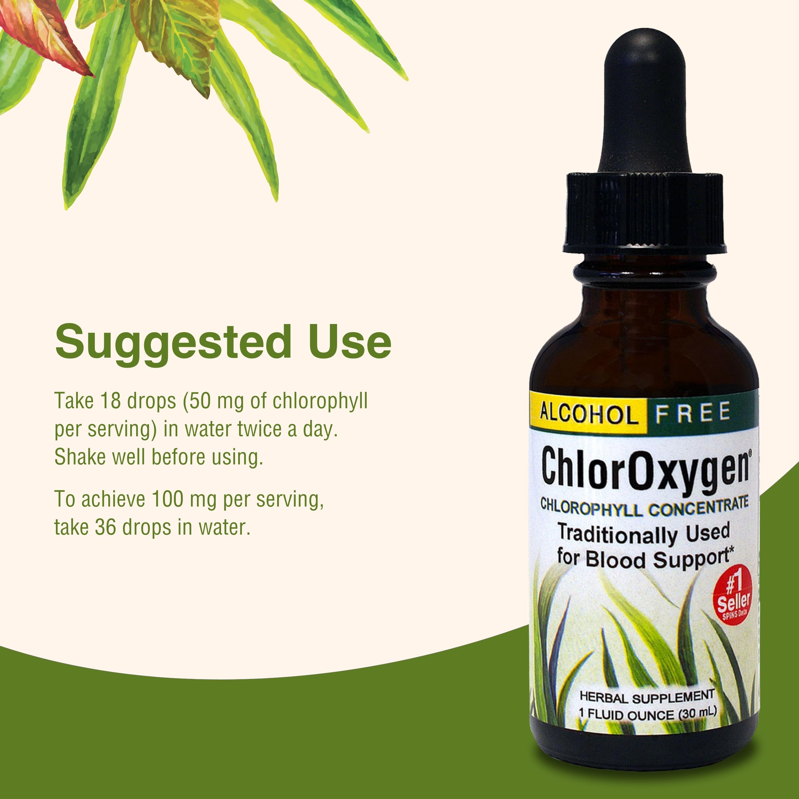 Herbs Etc. ChlorOxygen energy support visual suggests vitality potential.