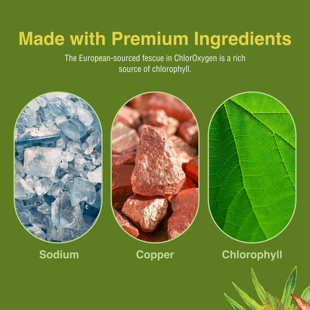 Vegan gluten-free icon on ChlorOxygen packaging reassures dietary compatibility.