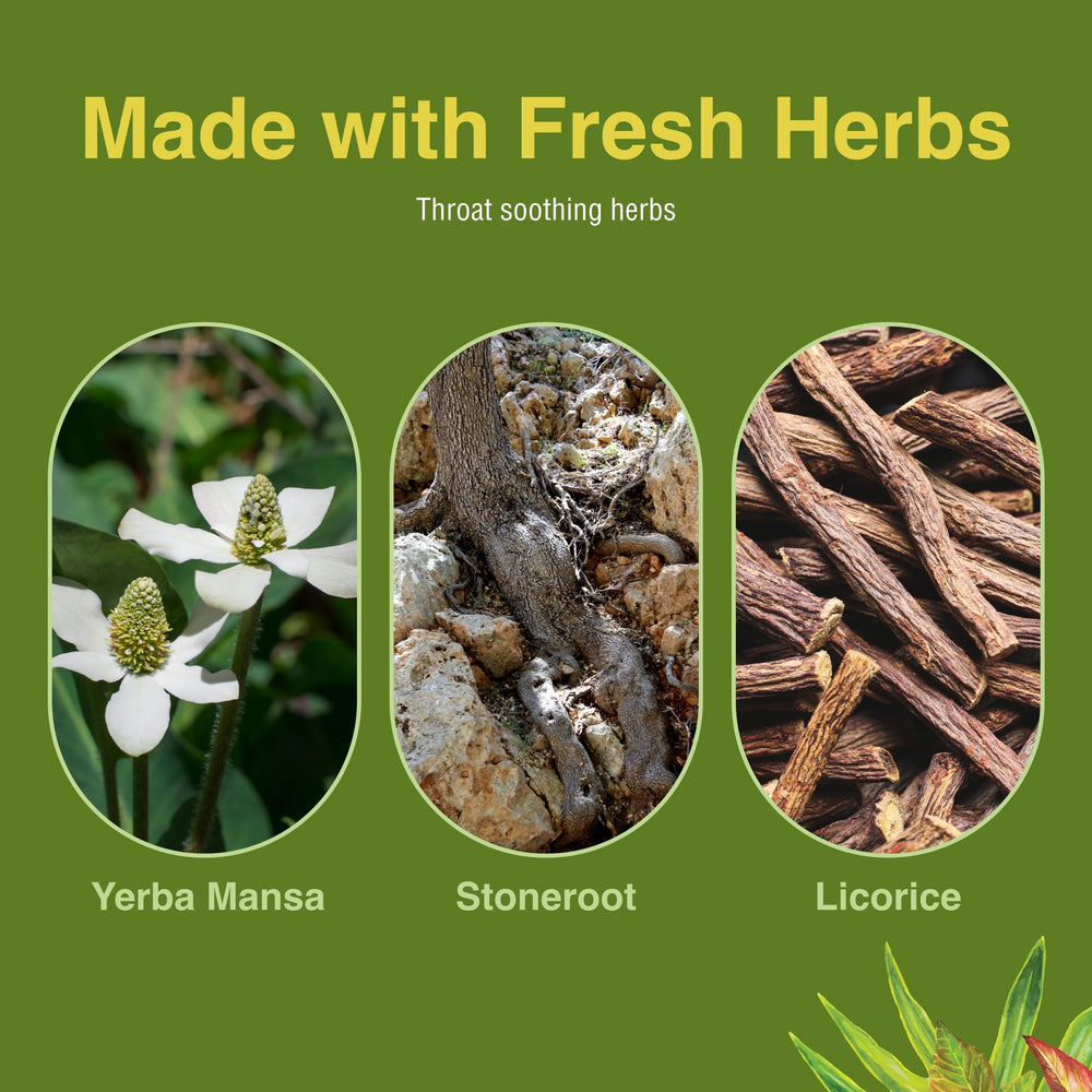 Herbs Etc. Singer's Saving Grace packaging image showing travel-friendly 1 fl oz bottle.